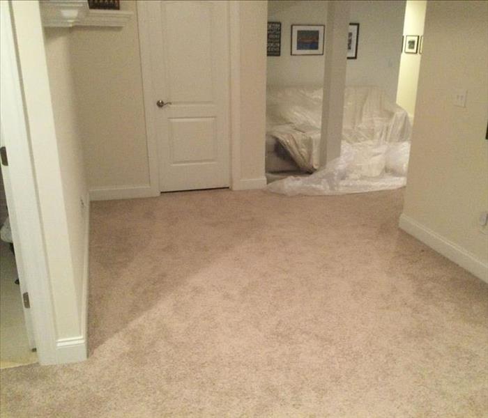 Basement with carpet and furniture