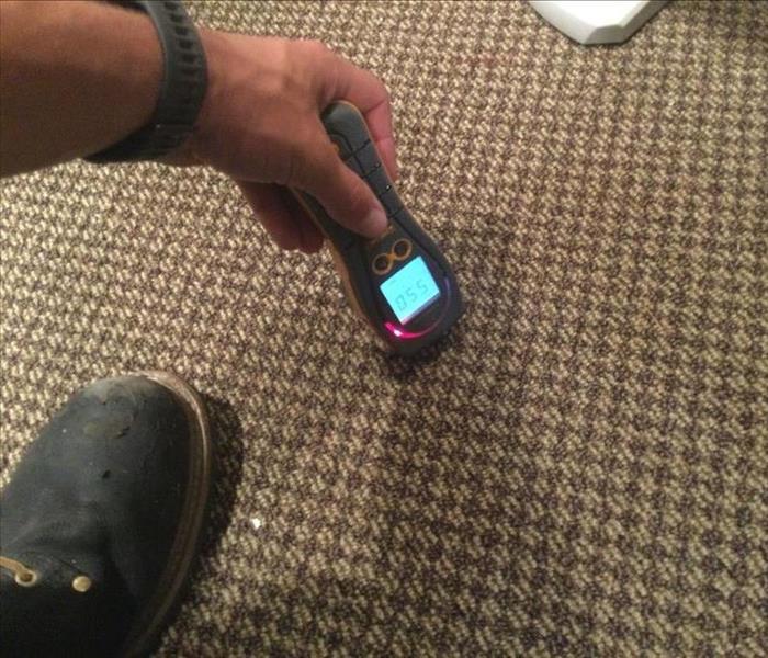 SERVPRO technician holding moisture detection equipment over a carpet